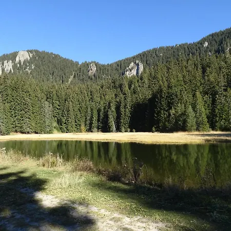 아파트 Darsi 팜포로보