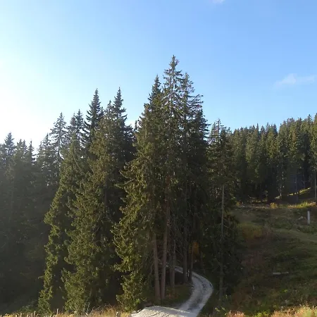 Darsi * Pamporovo