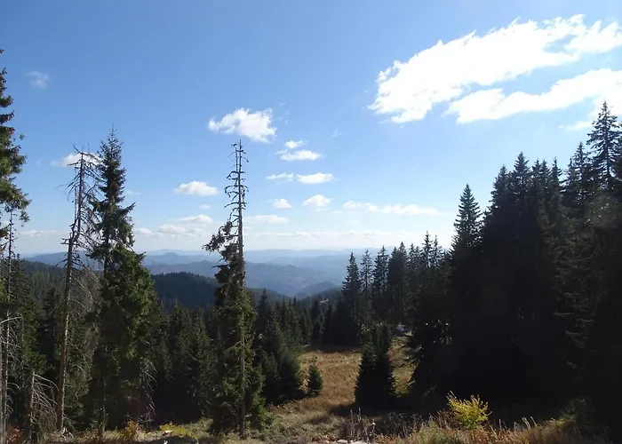 Darsi Lejlighed Pamporovo