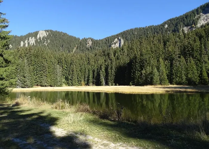 Lejlighed Darsi Pamporovo