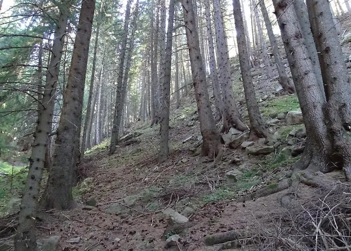 Апартамент Darsi